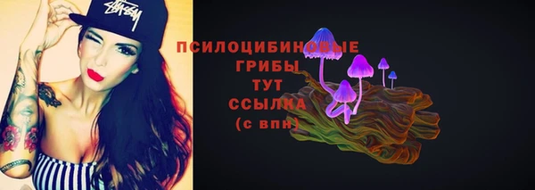 прущие крисы Медвежьегорск