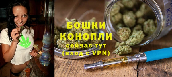 прущие крисы Медвежьегорск