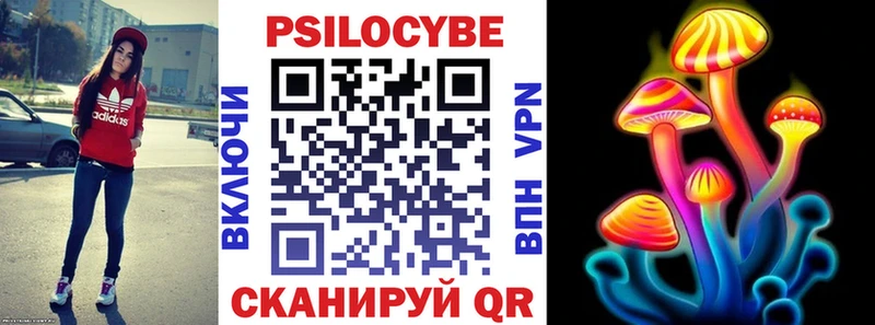 купить   Томилино  Галлюциногенные грибы прущие грибы 